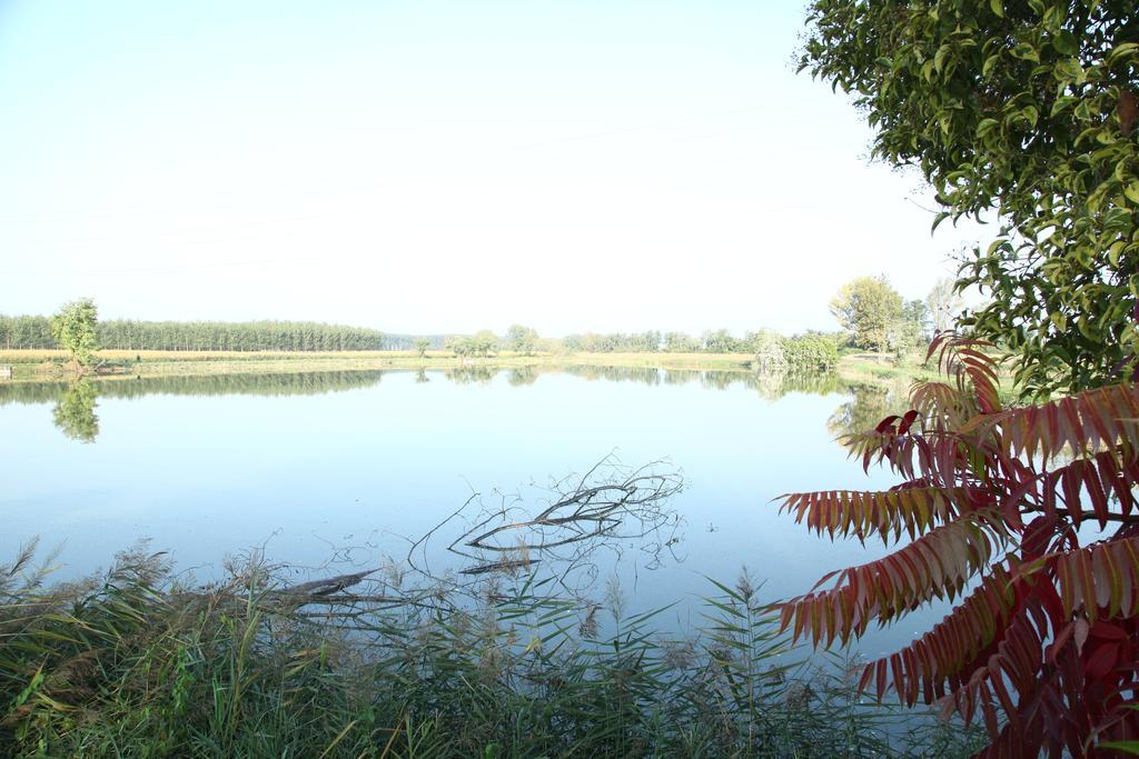 Agriturismo Zio Michele Hotel Isola Della Scala Luaran gambar