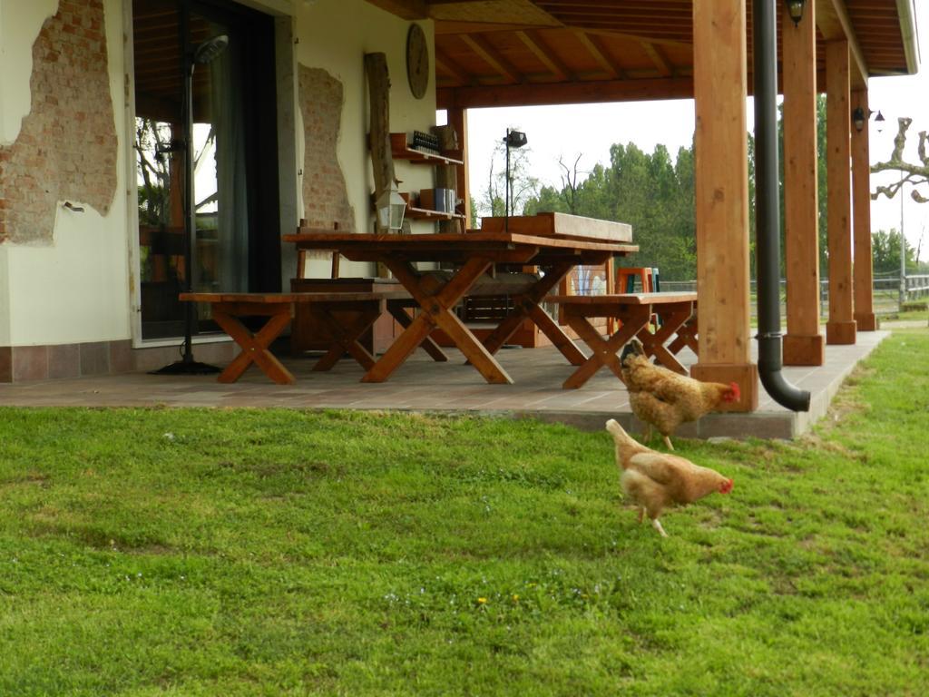 Agriturismo Zio Michele Hotel Isola Della Scala Luaran gambar