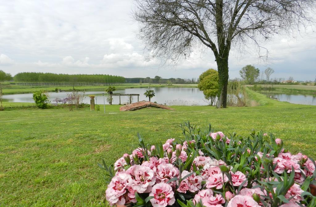 Agriturismo Zio Michele Hotel Isola Della Scala Luaran gambar